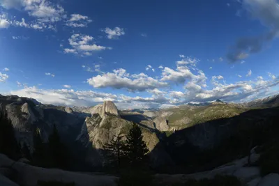 DSC_4197 (Large).JPG